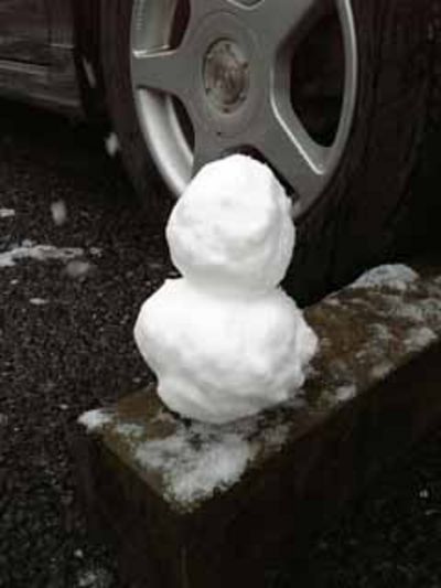 おぉ～雪だぁ～