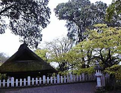 新緑の少林山