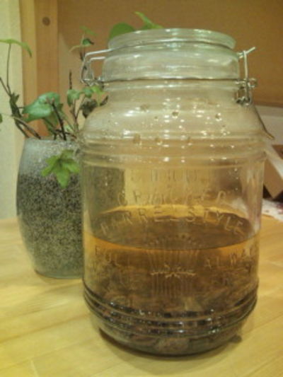 ロハスな天然酵母日記