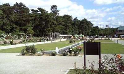 前橋のバラ園に行ってきました