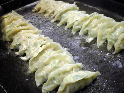 餃子で満腹