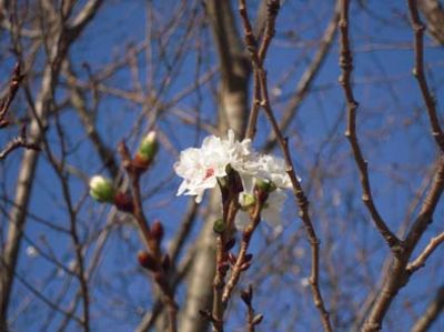 秋の公園3