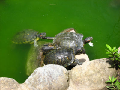 公園にて