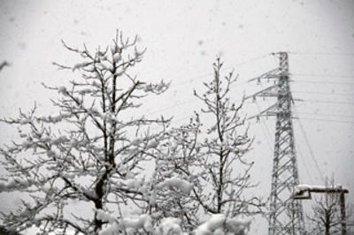 今朝の雪