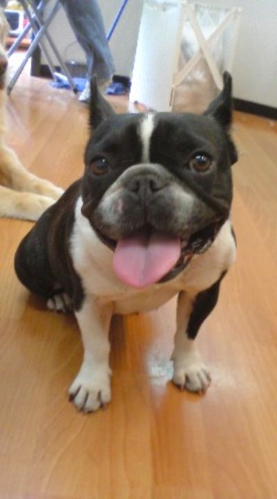 今日のかわいこちゃん�