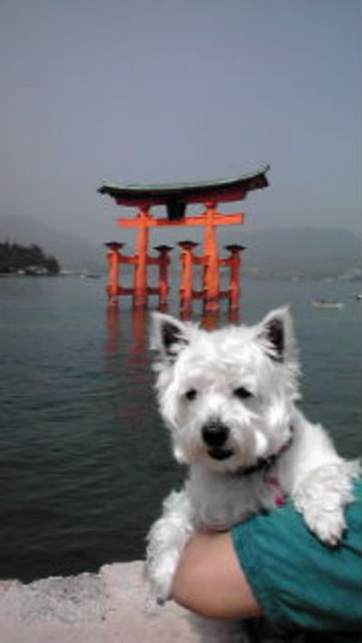 厳島神社