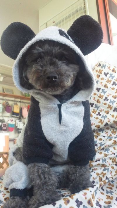 今日のかわぃこちゃん☆
