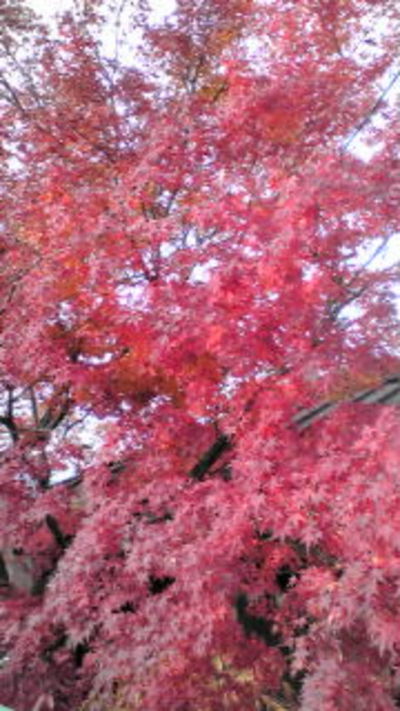 伊香保