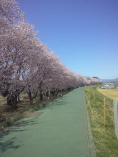 石原緑地ぞいの土手