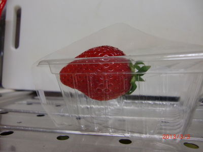 宙に浮くイチゴ？！