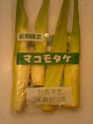 これなぁに？