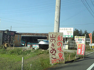 秋の味覚が沢山