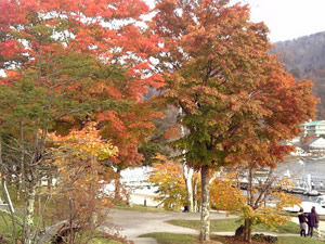 中禅寺湖周辺の紅葉は