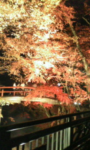 伊香保に紅葉見に行っ…