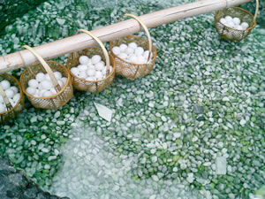 草津温泉で温泉たまごを食べる。