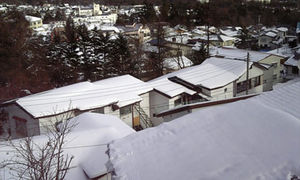 こんなに積もってます