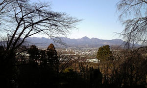 初詣は少林山達磨寺