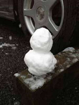 おぉ～雪だぁ～