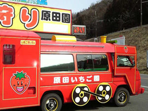 イチゴ狩りへ行ってきました
