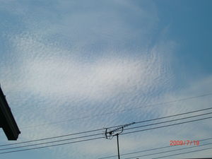 雲