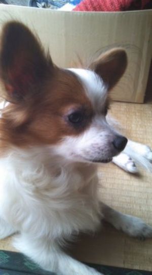 この前撮った友人の愛…