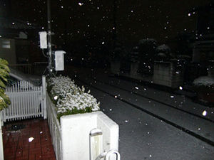 雪！