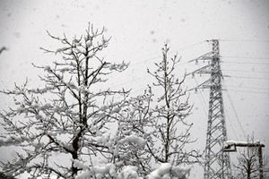 今朝の雪