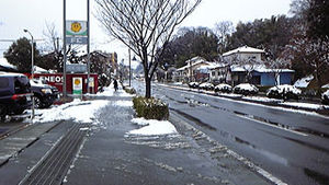 余り雪が降らない地域…