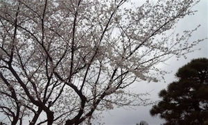 もう