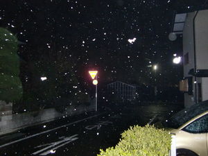 雪！