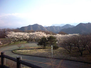 妙義山へ行ってきました！