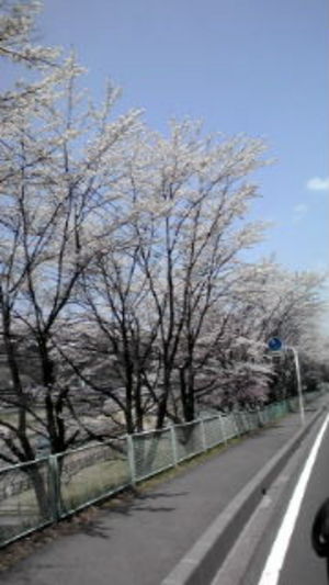 嬬恋村
