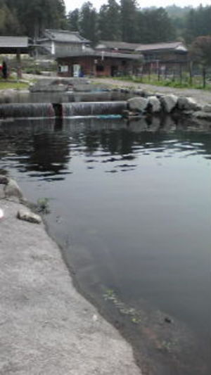 大崎つりぼり