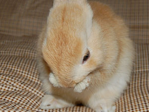 お風呂