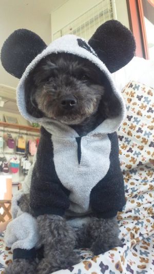 今日のかわぃこちゃん☆