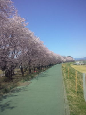 石原緑地ぞいの土手