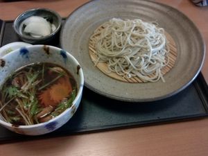 鴨なんつけそば